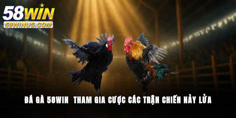 Tỷ lệ kèo minh bạch – Yếu tố hút người chơi