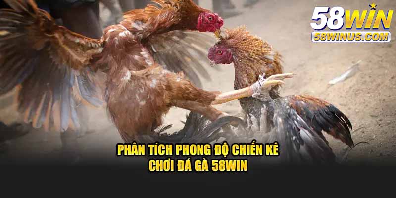 Kinh nghiệm bắt kèo đá gà 58win dễ thắng