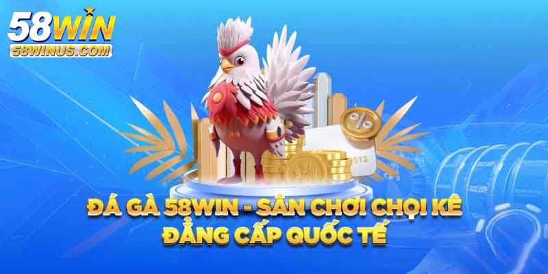 Sân chơi đá gà 58win 