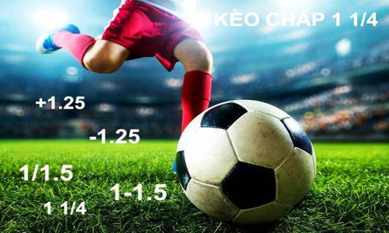 Các loại kèo cược khác có thể tham khảo 